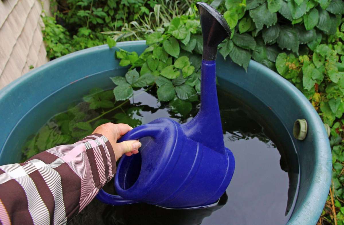 Wassermangel im Kreis Böblingen: Gießkanne nicht am Bach auffüllen