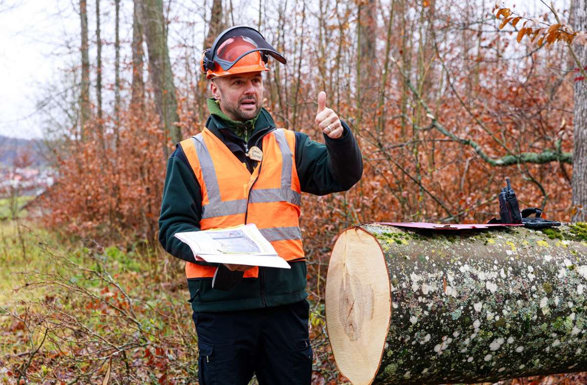 Neun Meter B- und C-Qualität befindet auch Forstrevierleiter Daniel Berner.