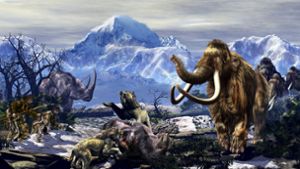 Warum starben unsere frühesten Vorfahren aus?