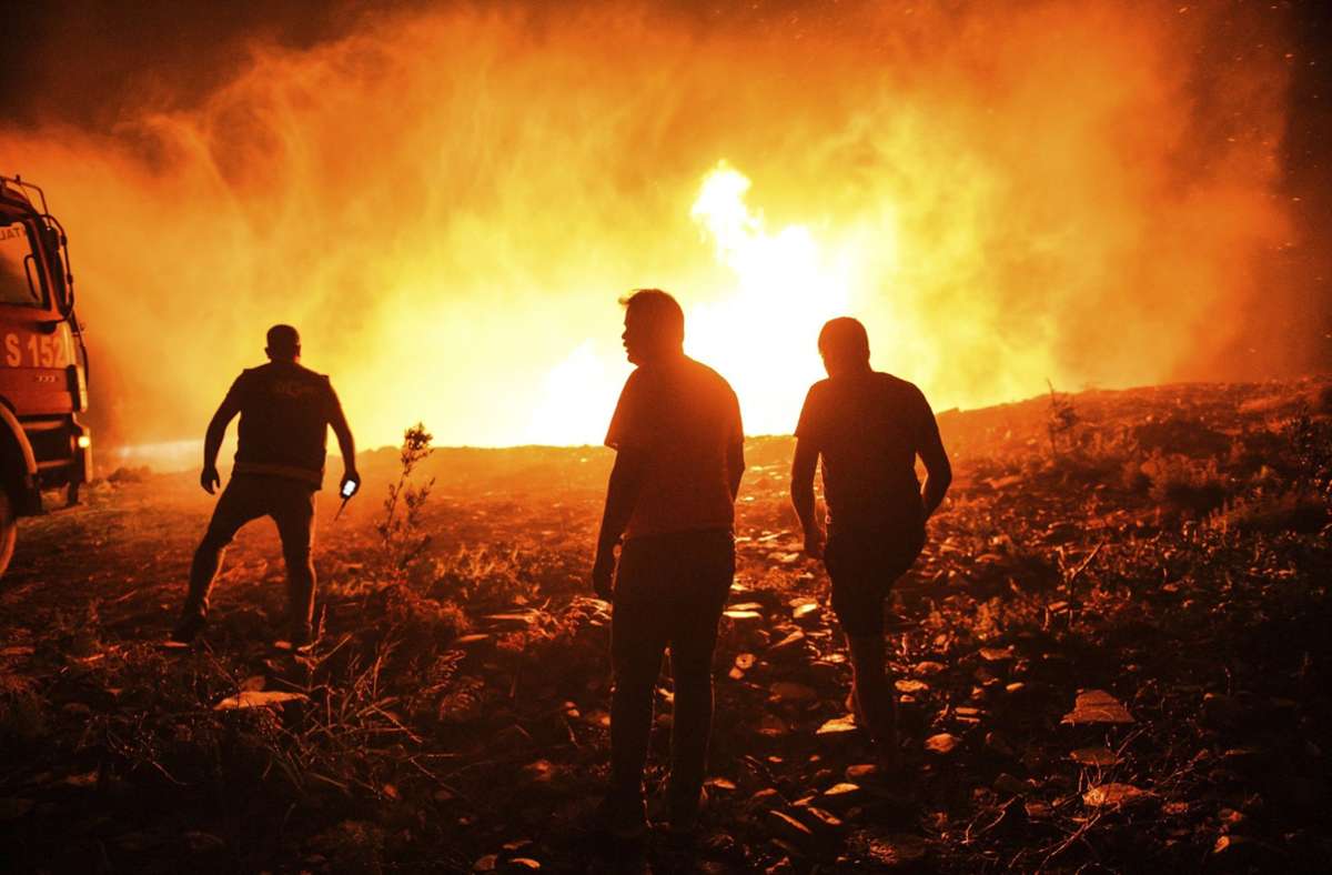 Brände in der Türkei Foto: dpa/Uncredited