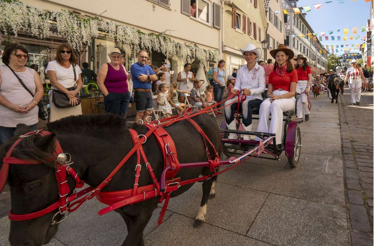 Pferdemarkt Bietigheim-Bissingen: Pferde, Wein und Trachten stehen im Mittelpunkt