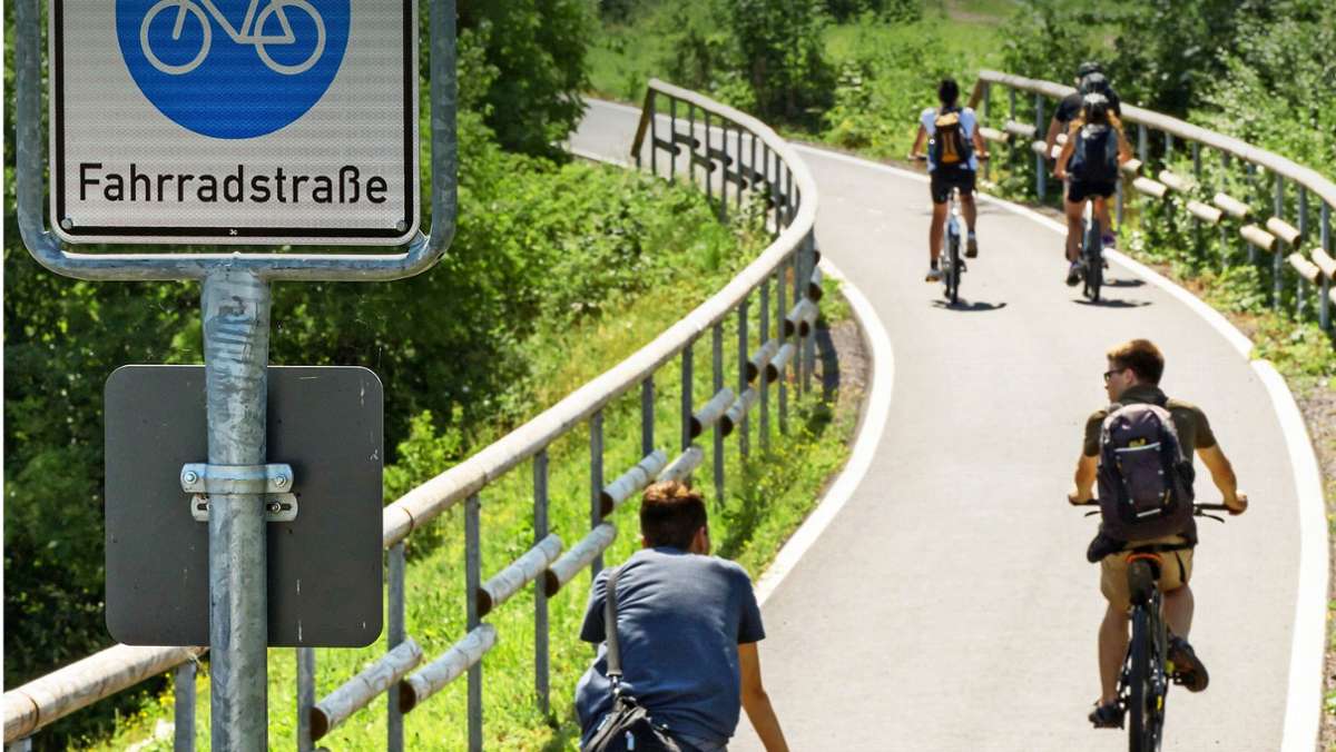Stuttgarter EU-Abgeordnete: Das will die EU für Radfahrer tun