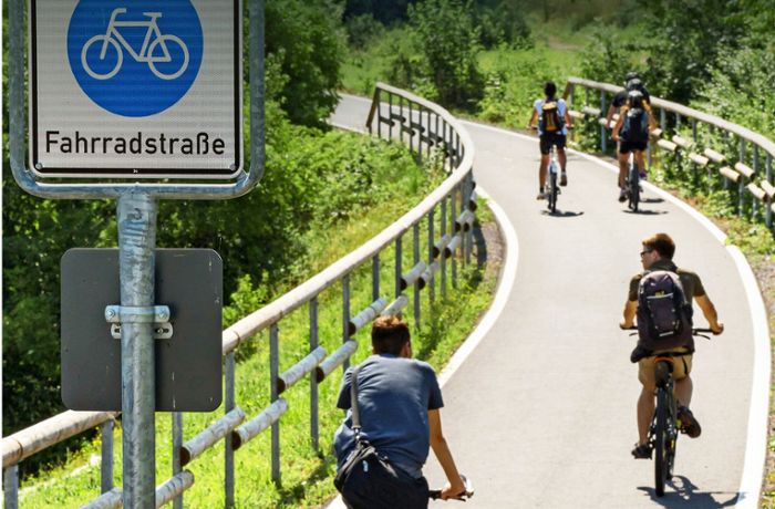 Stuttgarter EU-Abgeordnete: Das will die EU für Radfahrer tun