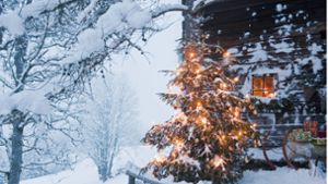 Warum Tannenbaum zu Weihnachten
