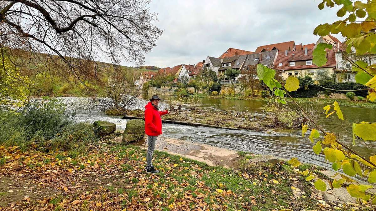 Großprojekt der Stadt Besigheim: Die Enzauen sollen schöner werden
