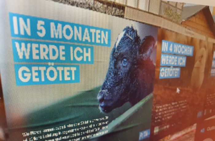 Verwaltungsgericht Freiburg: Veganer dürfen vor Metzgerei demonstrieren