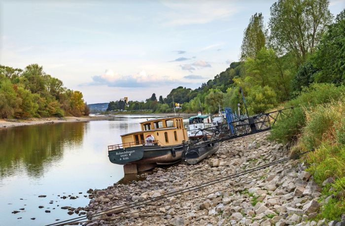 Niedrigwasser: Pegel null am Rhein,  Flüsse trocknen aus  – so dramatisch ist die Lage