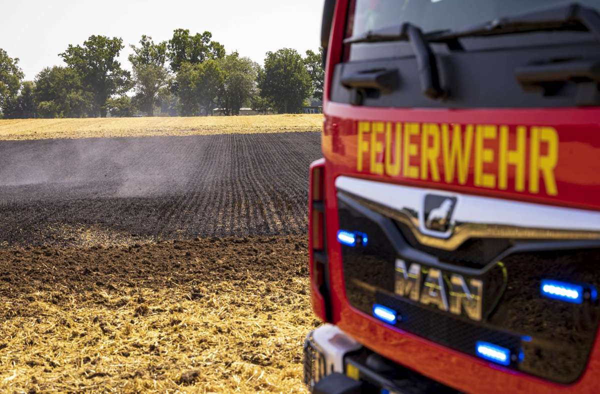 Pforzheim: Feuerwehr rückt aus und gießt Bäume