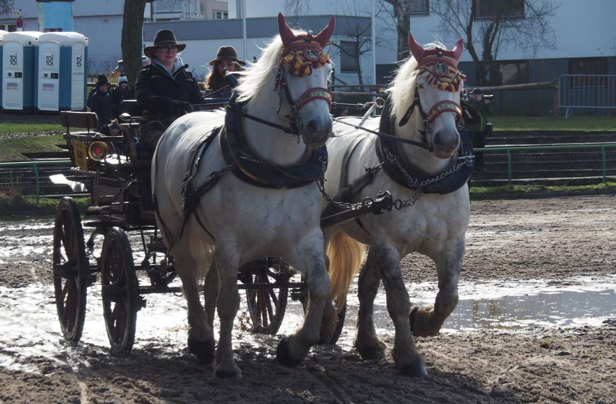 Leonberger Pferdemarkt: Das nächste Großereignis ist abgesagt
