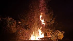 Baum hinter Holzgerlinger Tennisheim brennt lichterloh