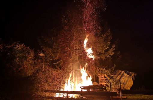 Beim Eintreffen der ersten Einsatzkräfte stand ein Baum und ein Holzstapel lichterloh in Flammen. Foto: SDMG/Dettenmeyer