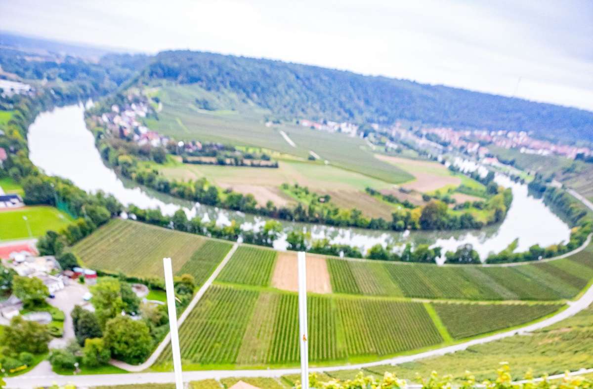 Weinbauverband tagt in Beilstein: Trotz Trockenheit winkt ein toller  Jahrgang