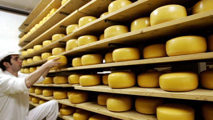 Was es alles über Käse zu wissen gibt