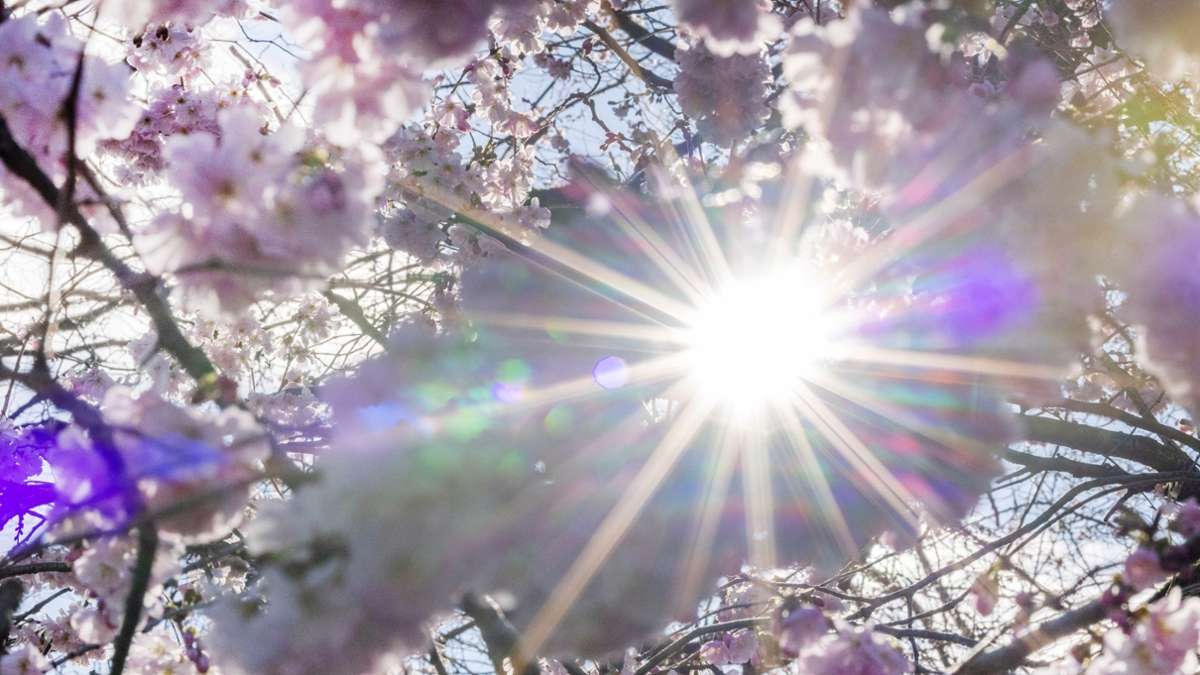 Gesundheit: Bundesamt warnt vor erhöhter UV-Strahlung am Wochenende