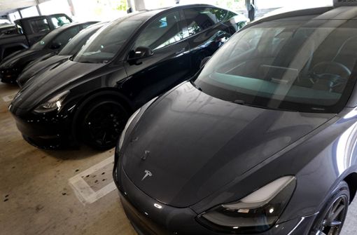 Ab November sollen Hertz-Kunden in den USA, aber auch in einigen europäischen Städten Teslas Model 3 buchen können. Foto: AFP/JOE RAEDLE