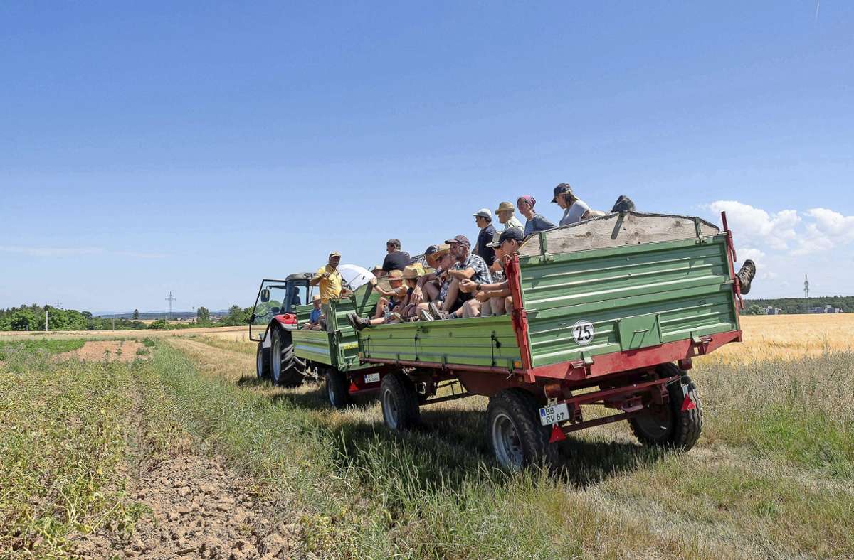 Unterdurchschnittliches Jahr für die Bauern: Auf Felder-Rundfahrt über die Schönbuchlichtung