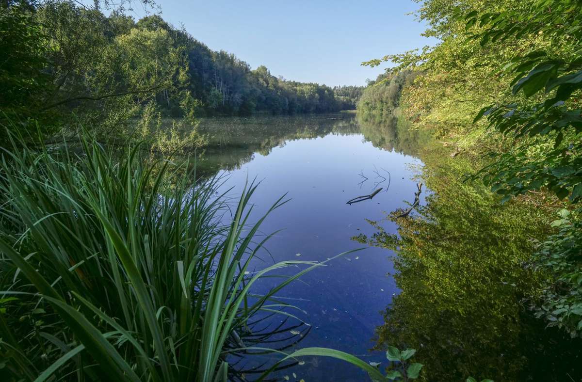 Tourismus gegen Naturschutz im Kreis Böblingen: Der Sulzbachsee als touristisches Ziel?