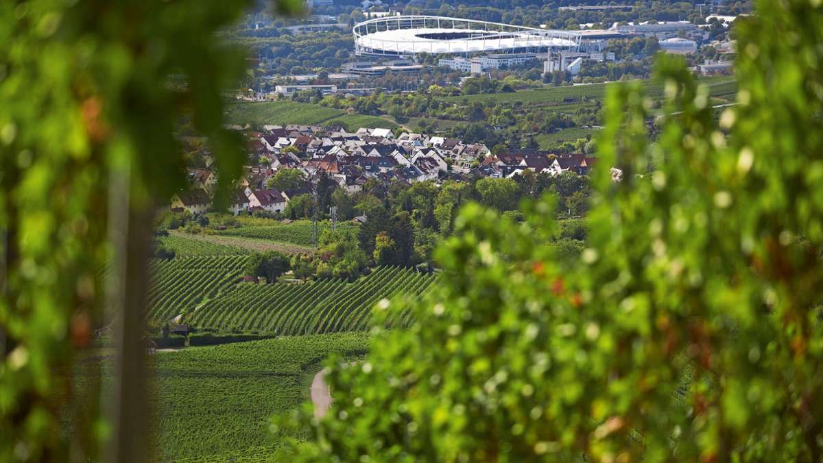 Fußballer in der Region: Diese VfB-Profis lieben das Remstal
