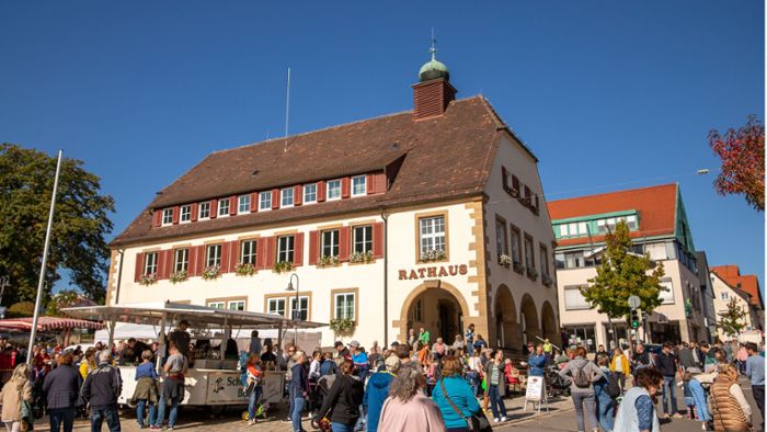 Kommunalwahl in Holzgerlingen: Zwei Gemeinderäte treten nicht mehr an