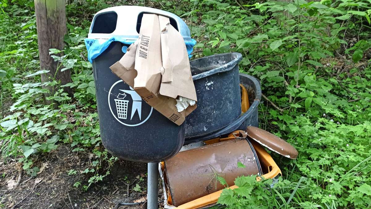 Abfälle falsch entsorgt: Müll verschandelt weiter die Kommunen