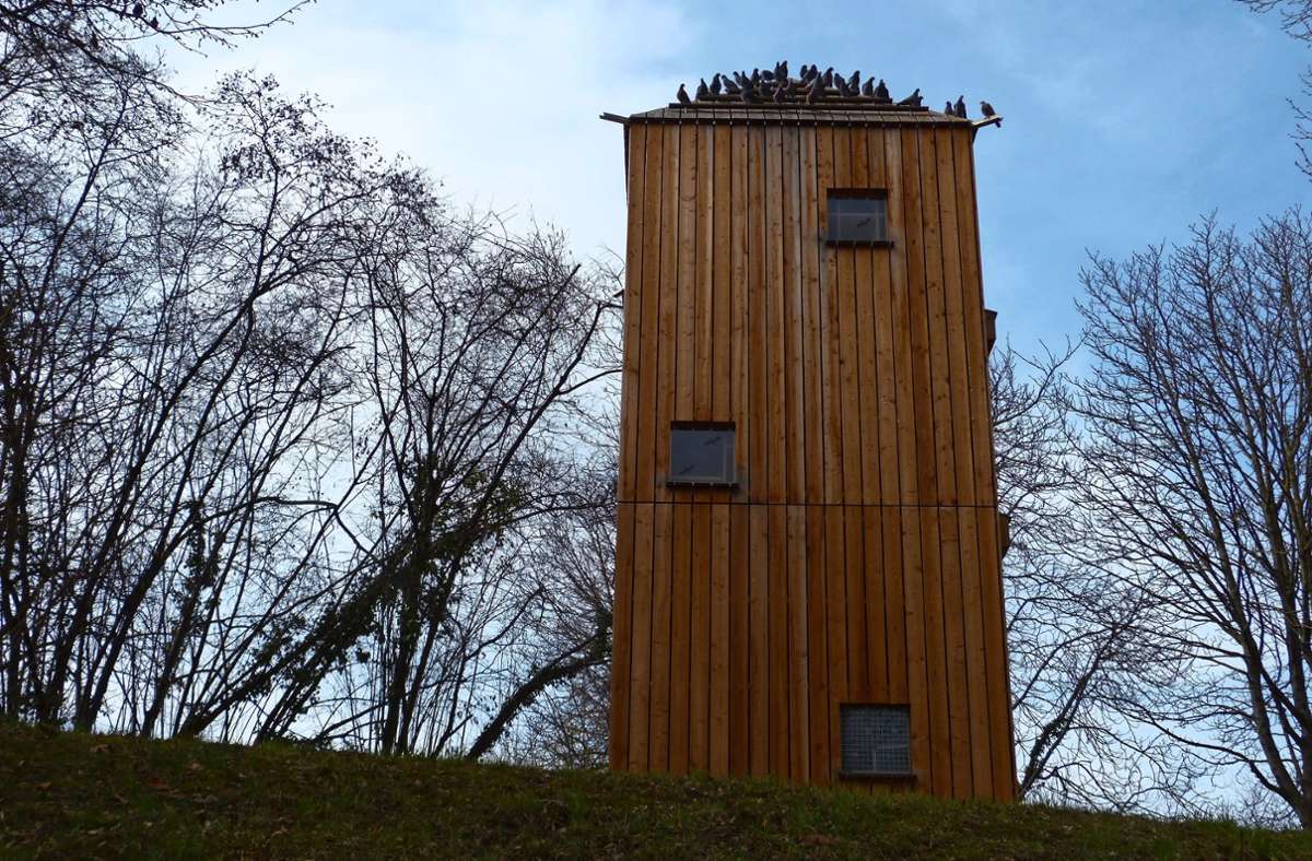 Tierschutz in Leinfelden-Echterdingen: Die Stadt baut nun doch einen Taubenturm