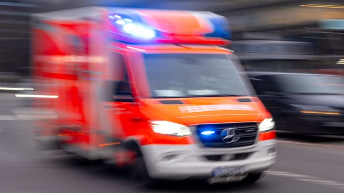 Lieferwagenfahrer stirbt am Bodensee bei Zusammenstoß mit Zug