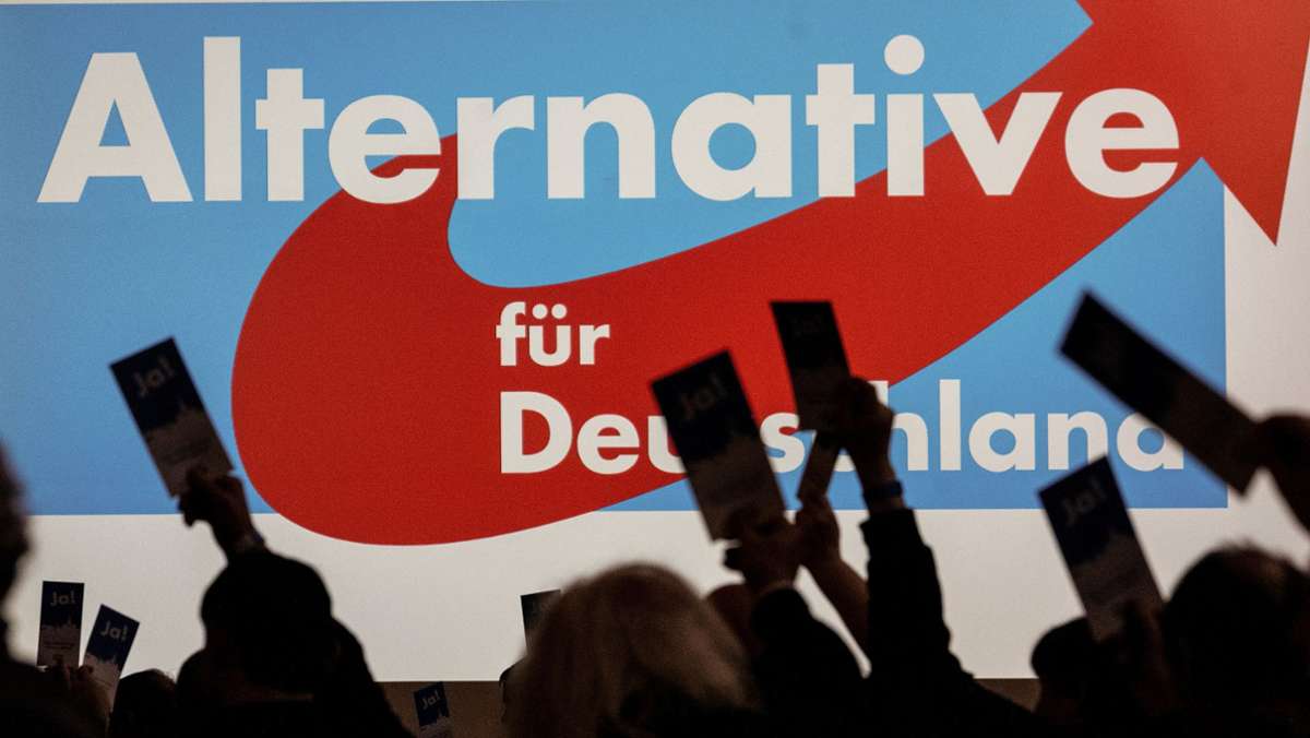 Politikwissenschaftler Hans Vorländer: AfD-Umfragehoch: „Regierung ist für schlechtes Stimmungsbild verantwortlich“